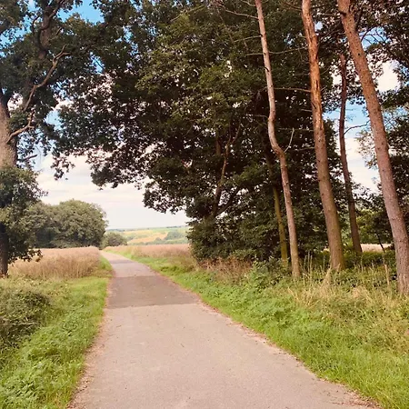 Am Engelsblick - Eifel Direkt Vor Der Tuer Kreuzau