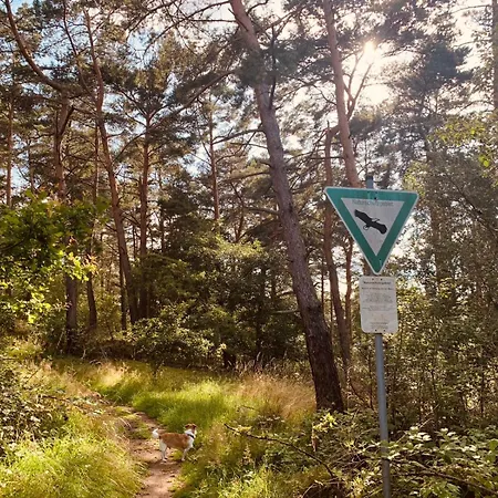 Am Engelsblick - Eifel Direkt Vor Der Tuer *