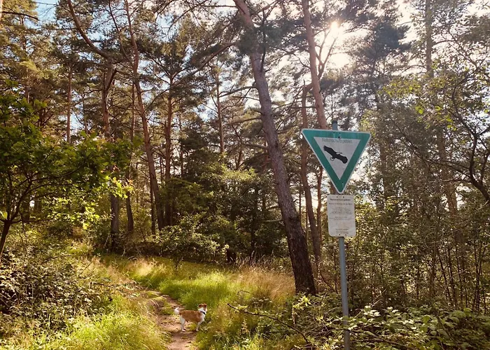 Am Engelsblick - Eifel Direkt Vor Der Tuer *